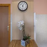 La Rose Des Vents N 3 Châtel
