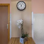 Apartamento La Rose Des Vents N 3 Châtel
